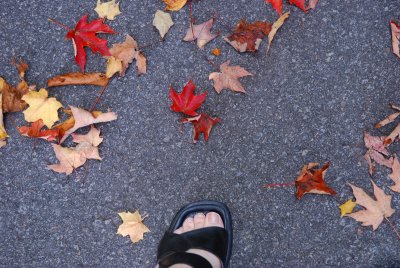Step into fall with me...