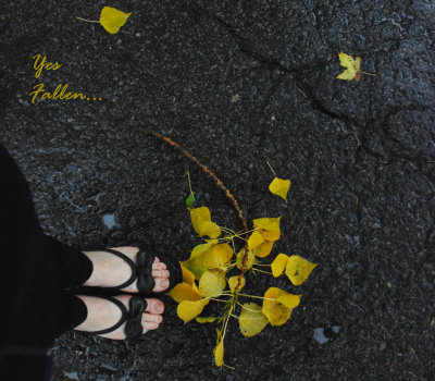 Octobre 6 - Despite...
