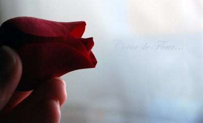 A flower's heart...