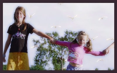 Danser avec les oiseaux...