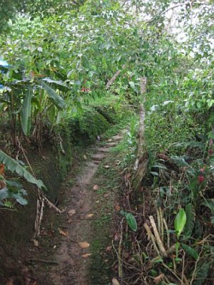 747606656703_0_ALB[1].jpg