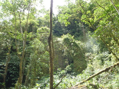 061610_2705.JPG