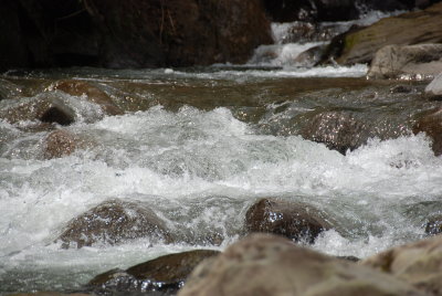 DSC_0320.JPG