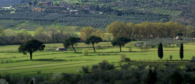 View from Tuoro