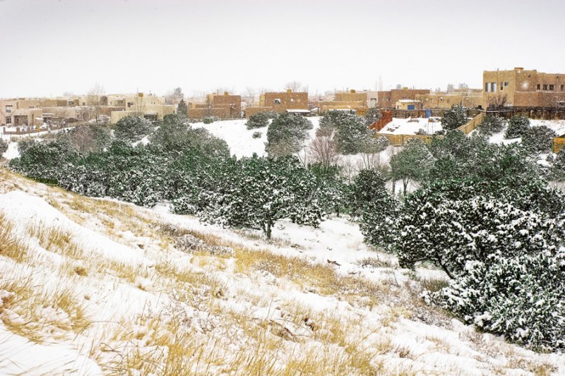 BackyardSnowDec08.jpg