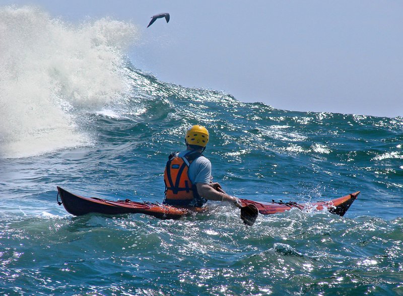 DPR_SeaKayak.jpg