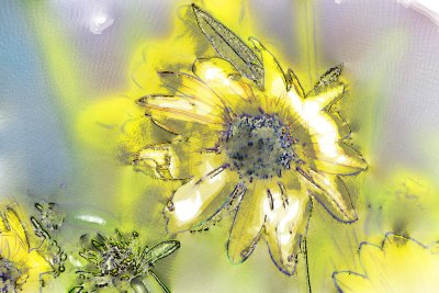 PhotographyBBSunFlowerArt.jpg