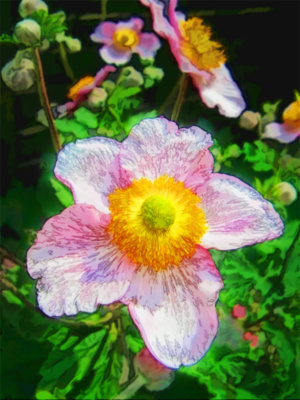 DPRFlower_Sketch.jpg