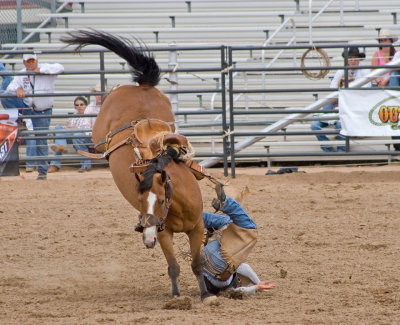 Bronco3.jpg