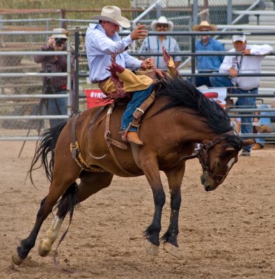 Bronco4.jpg