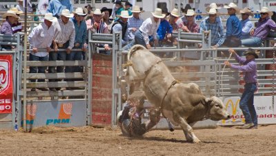 BullRidn2.jpg