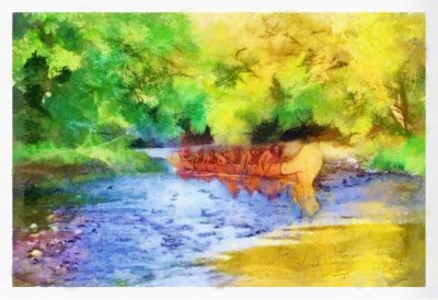 PhotographyBB_CanoeStream_2.jpg