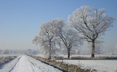 Winter 2009