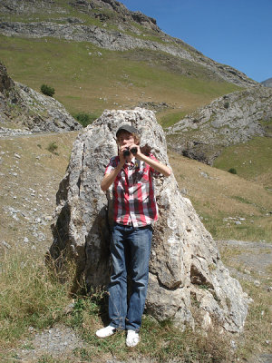 Pyrenees