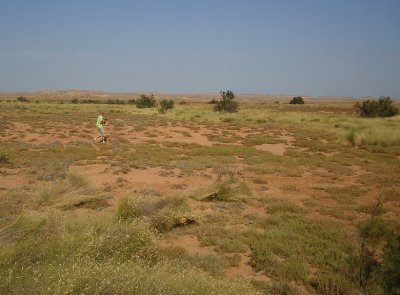 Arie searching for Waterrail