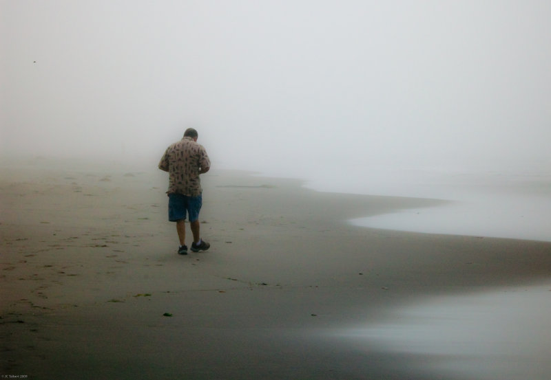 Beach comber