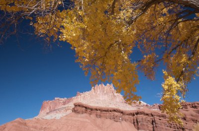 DSC_2902 - Version 2.jpg