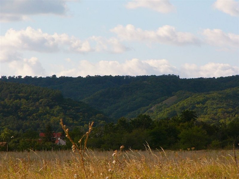 P1020484.JPG