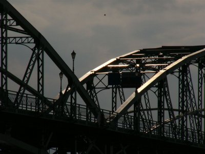 P1030089.JPG
