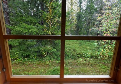 IMGS2997_ Finlandia una finestra sulla natura.jpg
