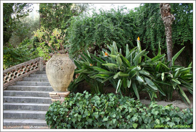 Jardin Public / Villa Comunale