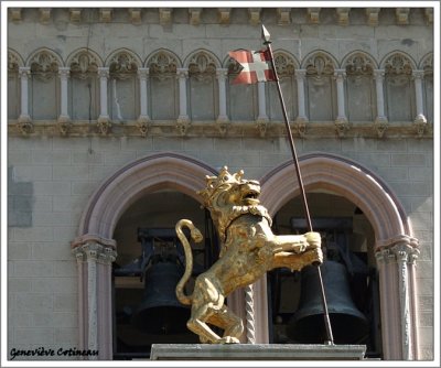 Midi, le lion tourne la tête et rugit