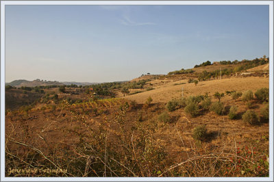 La campagne  / La campagna