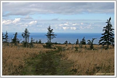 Parc National des Hautes-Terres du Cap Breton