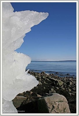 Le Vieil Homme et la Mer