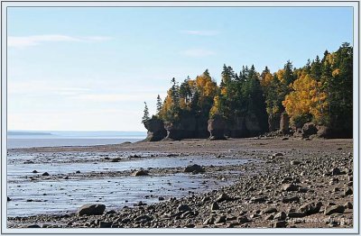 Hopewell Rocks, mare basse