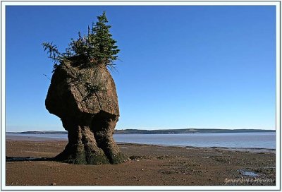 Hopewell Rocks