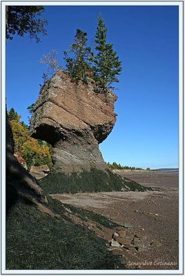 Hopewell Rocks