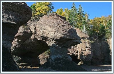 Hopewell Rocks...La planète des Singes...