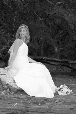 weddings4