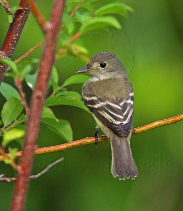 empid_3542.jpg