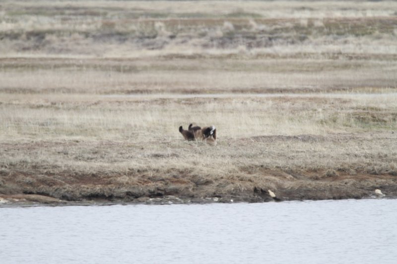 _MG_2254.JPG