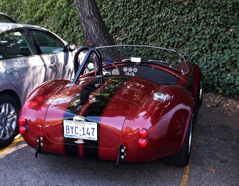 Ford AC Cobra_0239.jpg