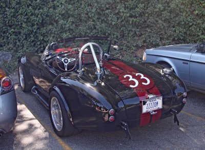 Ford AC Cobra_0224.jpg