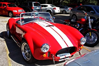 Ford AC Cobra_0235.jpg