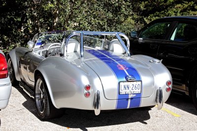 Ford AC Cobra_0238.jpg