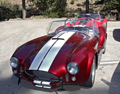Ford AC Cobra_0233.jpg