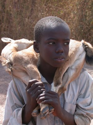 African Boy and Goat