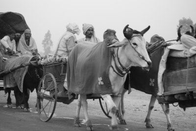 Pilgrims in India