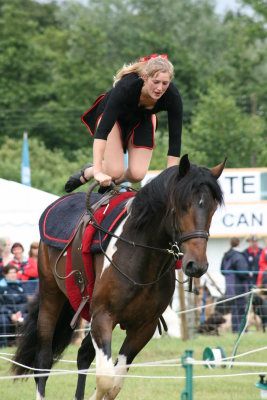 Horse gymnastics