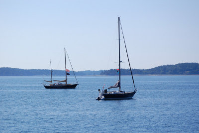 Sailboats