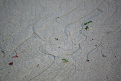 Patterns in the sand
