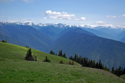 View from Hurricane Ridge