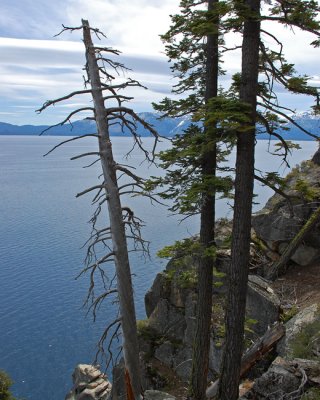 Tahoe views