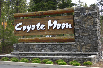 Coyote Moon