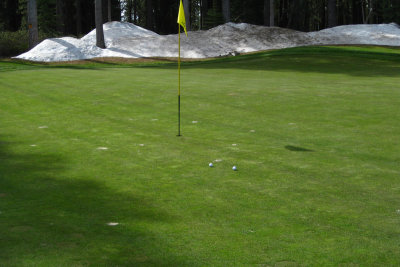 #3 green